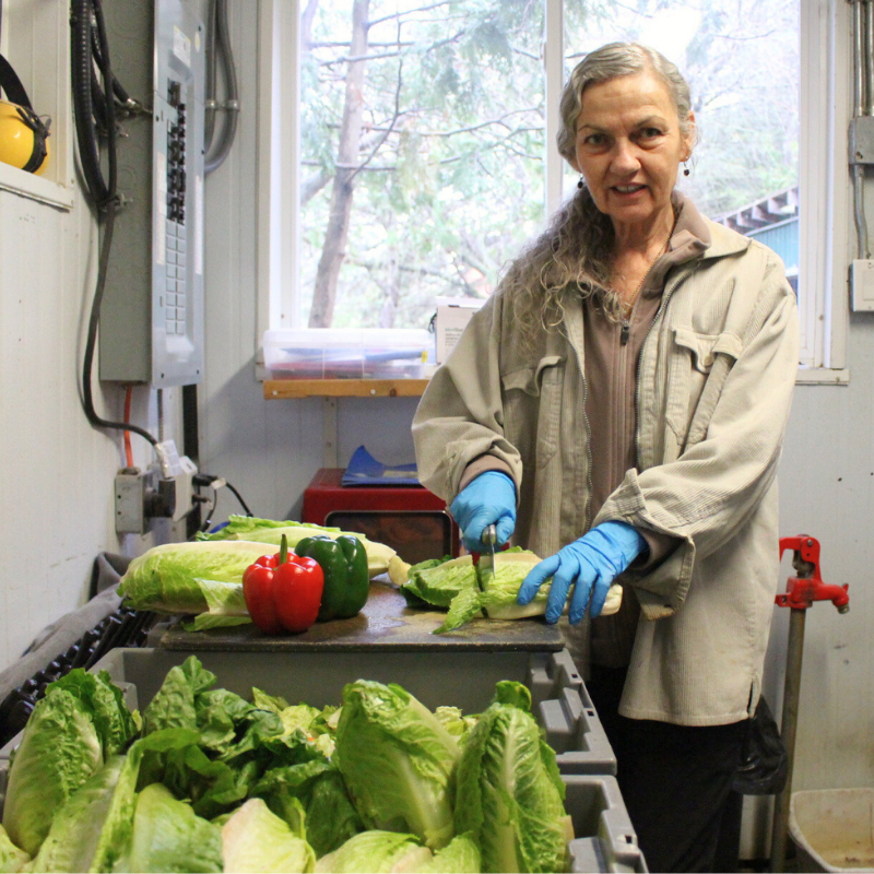 Pat chopping lettuce.