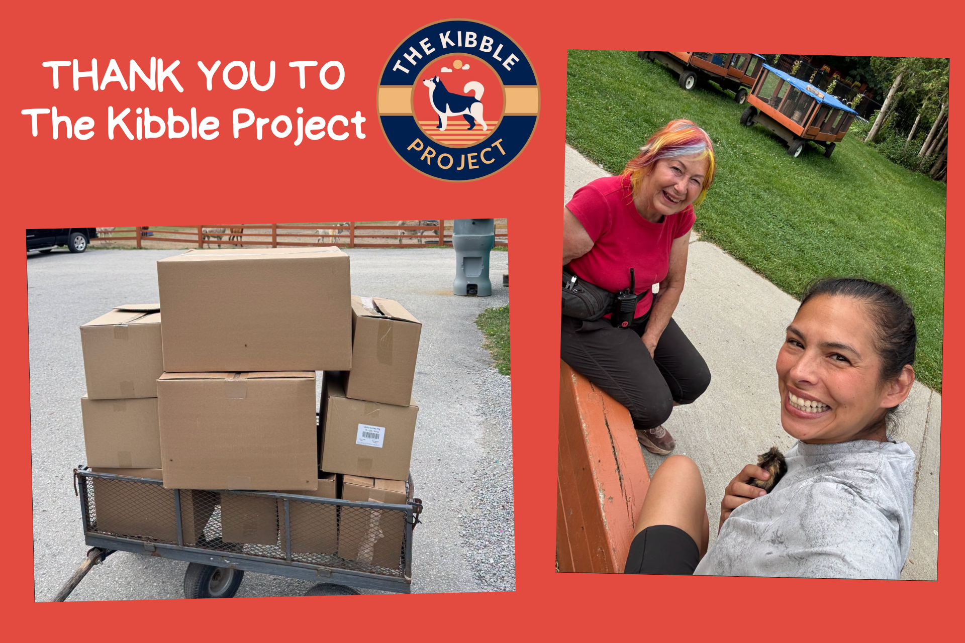 A collage with an orange-red background and a photo of brown boxes and a selfie with Mary-Ann and Gladys from The Kibble Project.