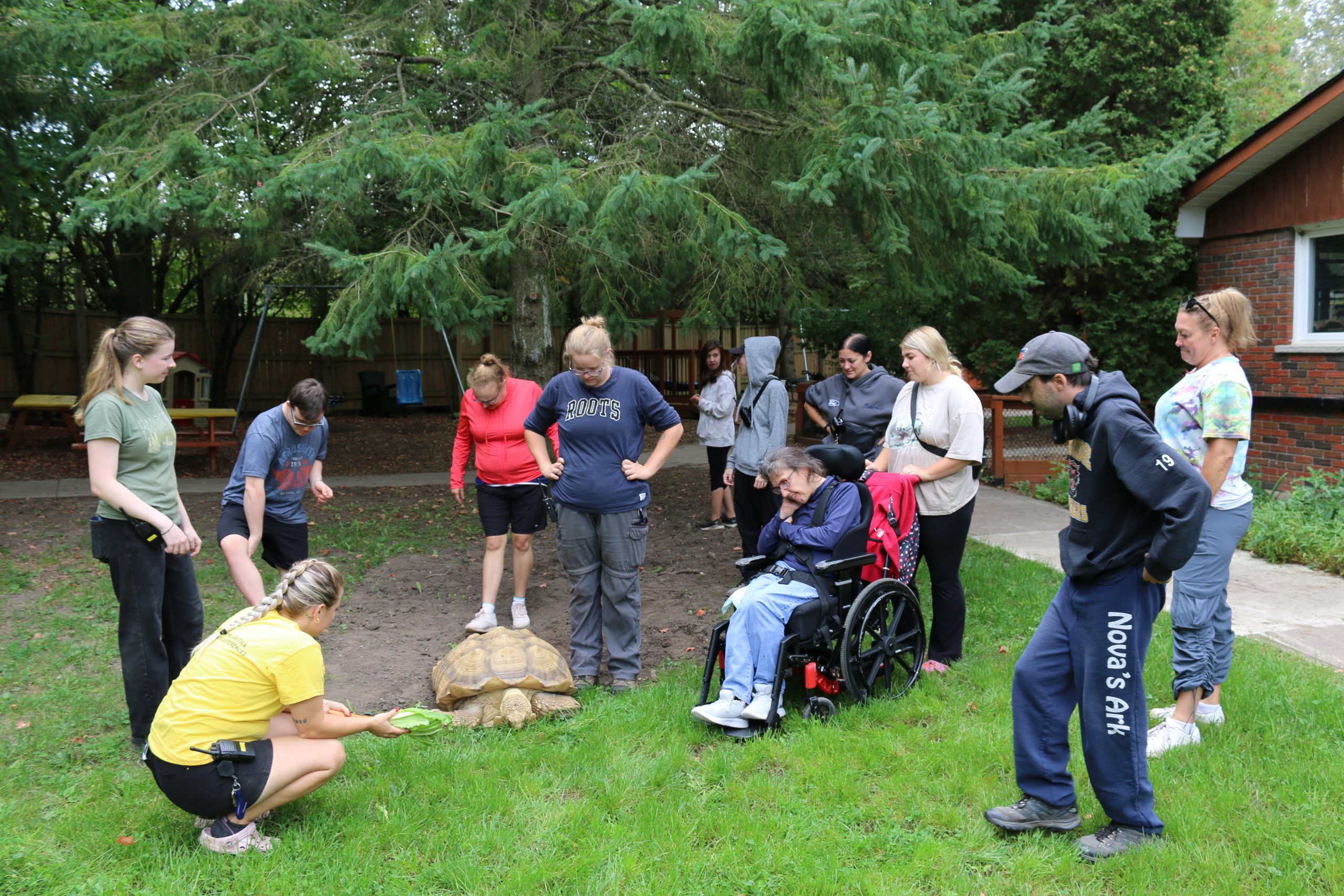 A group of participants and mentors around Thor, one of our Therapy Tortoises.